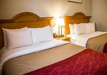 Comfort Inn Jfk Airport New York Stati Uniti