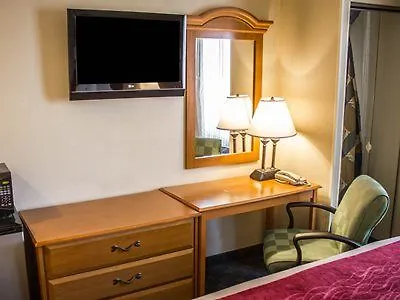 Comfort Inn Jfk Airport New York Hotel
