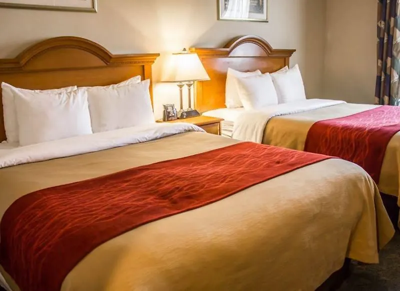 Comfort Inn Jfk Airport New York