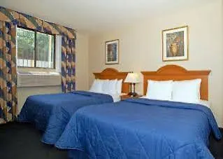 Comfort Inn Jfk Airport New York Hotel