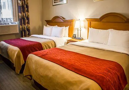 Comfort Inn Jfk Airport New York