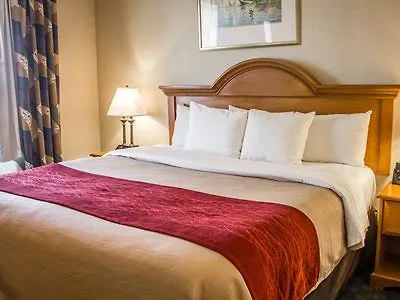 Comfort Inn Jfk Airport New York 2*,  États-Unis