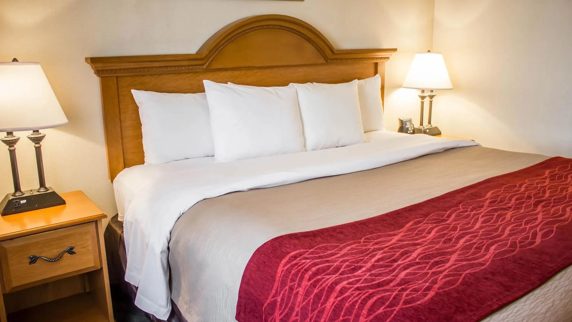 Hotel Comfort Inn Jfk Airport New York